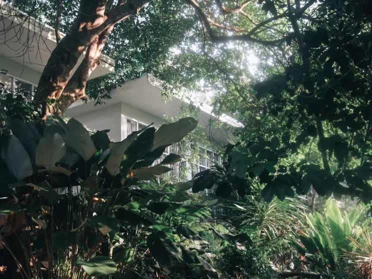 Ảnh The Hidden Resort & Restaurant (SHA Extra Plus)