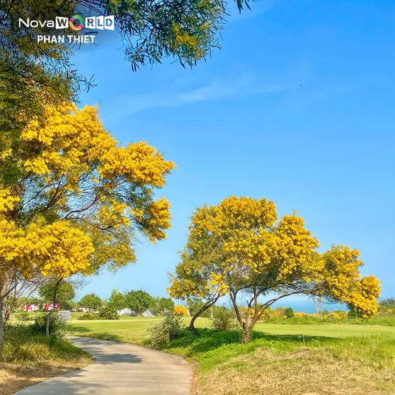 Ảnh  Novaworld Phan Thiết - Hy Khang Villa