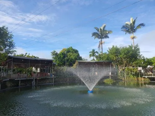 Ảnh Tuan huyen vlog homestay