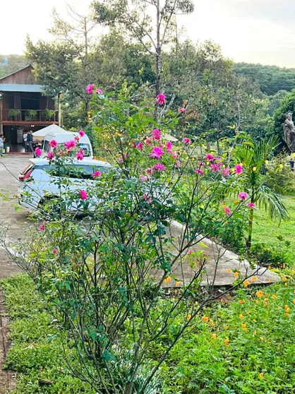 Ảnh MAY GARDEN 2 _HOMESTAY PLEIKU