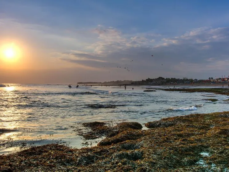 Ảnh Seseh Beach Villas by Elite Havens