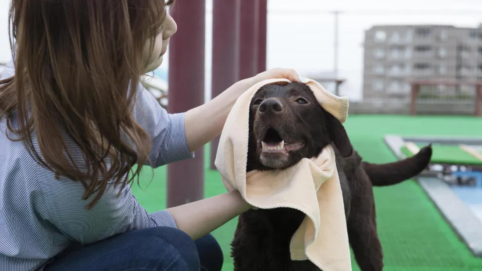 Ảnh Izukogen Wanwan Paradise Condominium