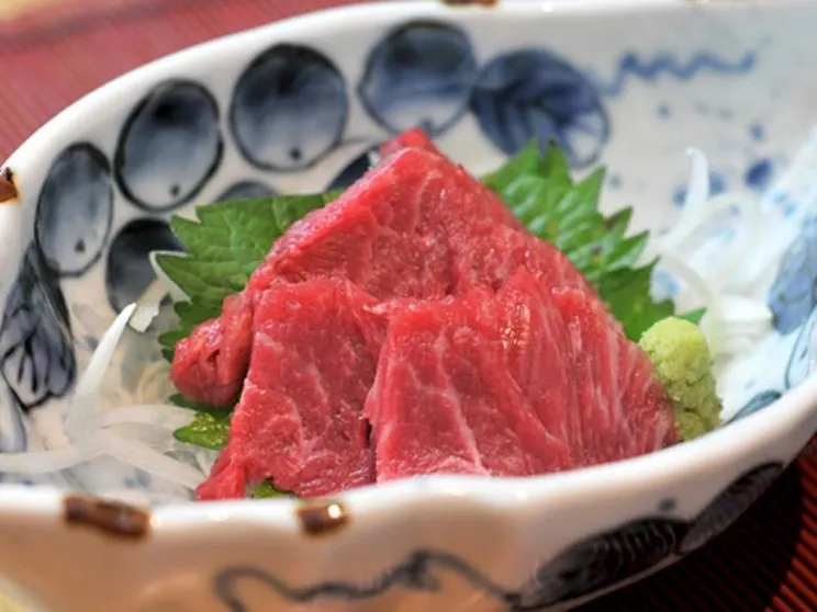 Ảnh Hitoyoshi Ryokan