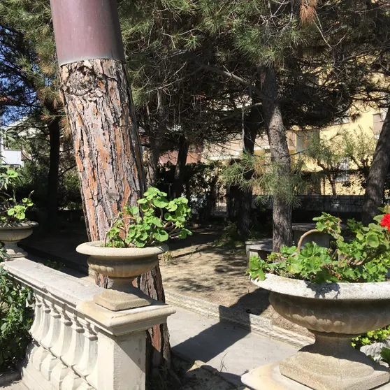 Ảnh Villa Cipriani