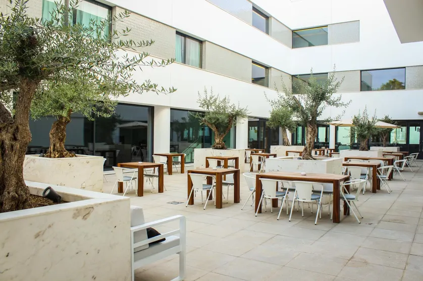 Ảnh Evora Olive Hotel