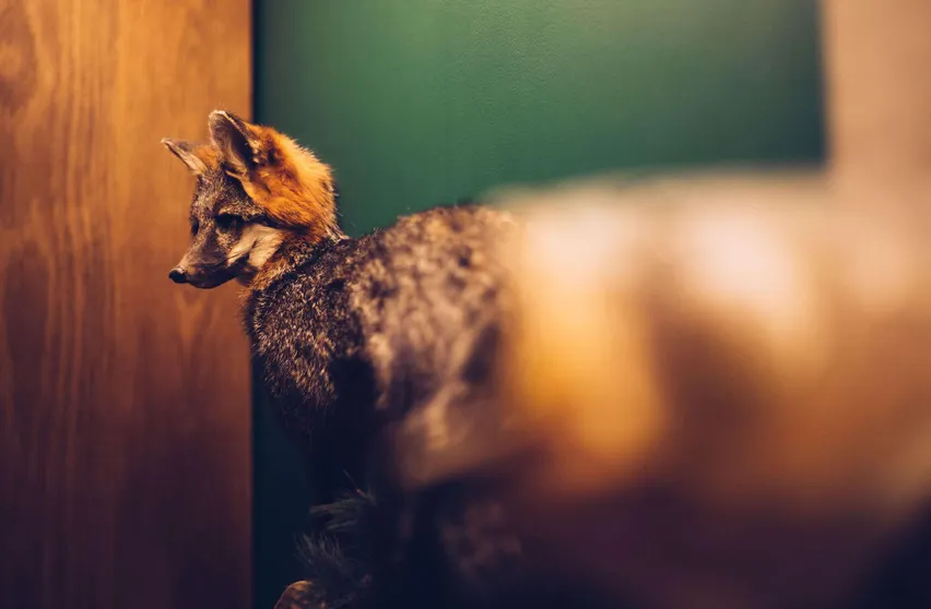 Ảnh Motto by Hilton Washington DC City Center