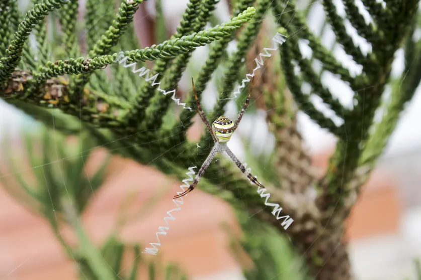 Ảnh Bungalow Tai Phat