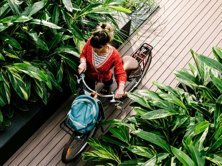 Ảnh Veriu Camperdown