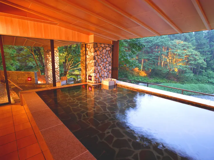 Ảnh Hanamaki Ryokan Airinkan
