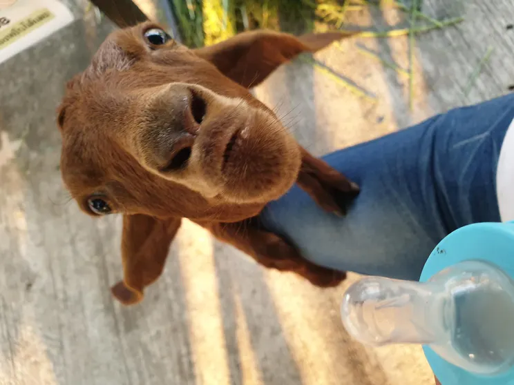 Ảnh Vanida  Halal Resort