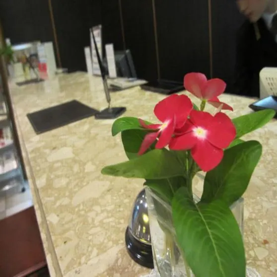 Ảnh Zentsuji Grand Hotel