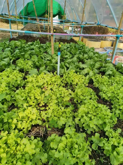 Ảnh I Aun Khun Khao