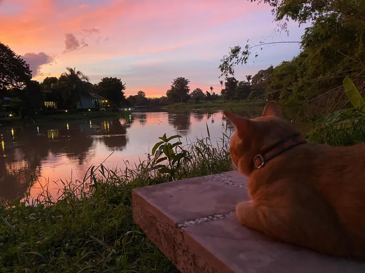 Ảnh Reun suphan riverside resort