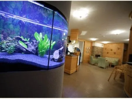 Ảnh Hotel Restaurant Schworer