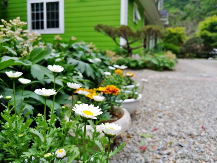 Ảnh Yang Yang Sangol Yeohang Pension