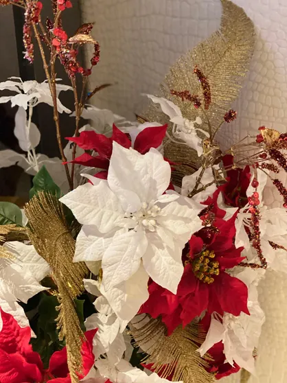 Ảnh Hotel Venus Neo - Adult Only