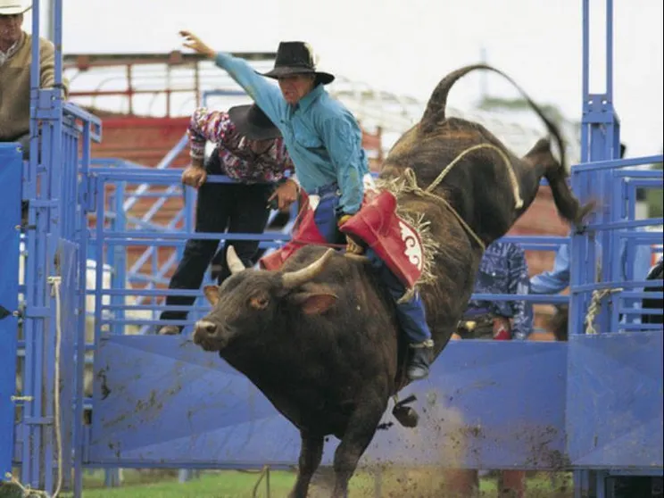 Ảnh Windsor Terrace Motel