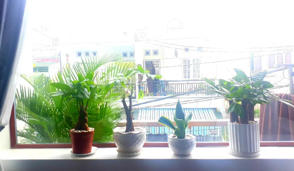 Ảnh ADORA CENTRAL PARK