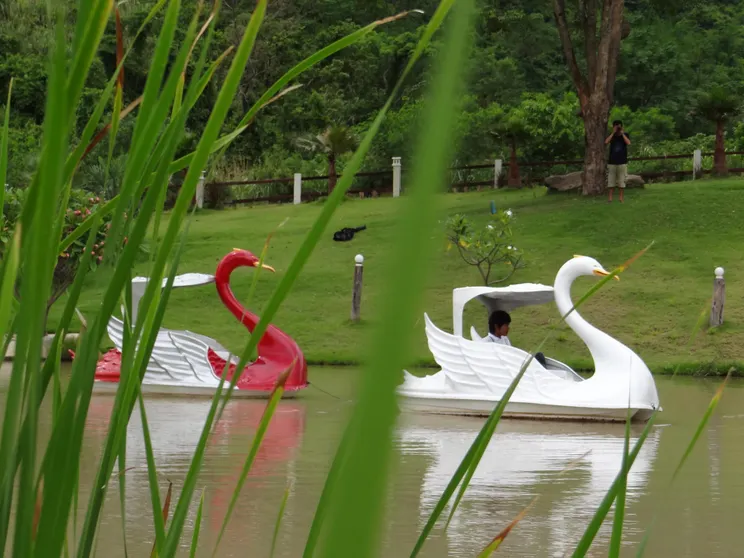 Ảnh The Banyan Leaf Resort