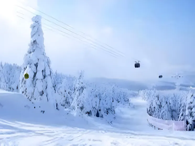 Ảnh Yoshidaya Ryokan