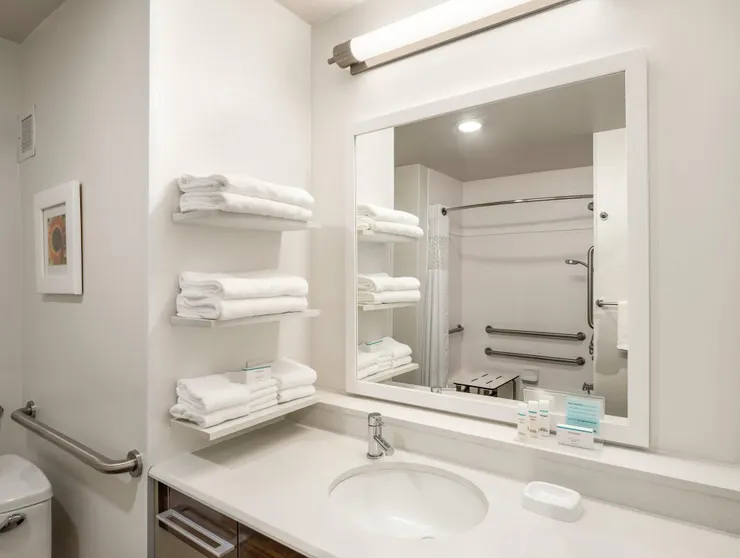 Ảnh Hampton Inn & Suites Lavonia