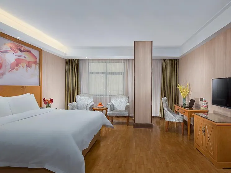 Ảnh Vienna Hotel Anhui Bozhou Lixin Yuanli Plaza