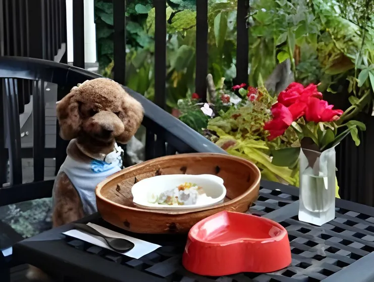 Ảnh Hotel Shikino Kura