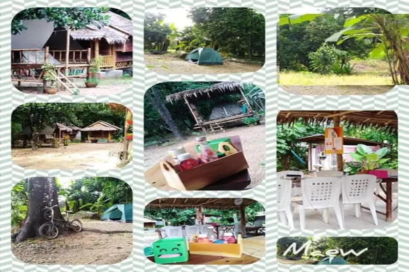 Ảnh wassana camp Khai Jungle Experience