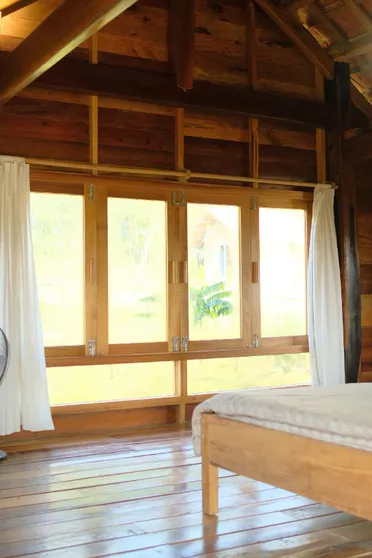 Ảnh TODO Farm - Trang Trại Rau Hữu Cơ