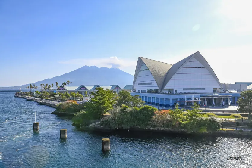 Ảnh Daiwa Roynet Hotel Kagoshima Tenmonkan PREMIER