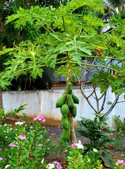 Ảnh KS Quảng Trường Mỹ Tho