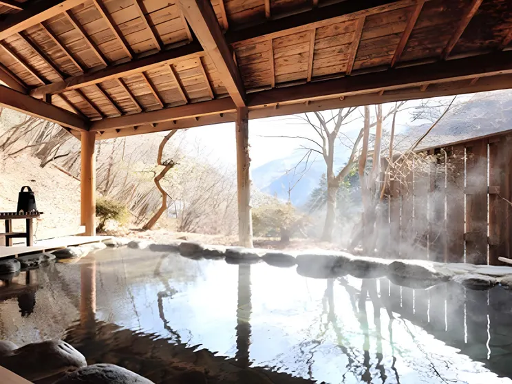 Ảnh Shima Onsen Tsuruya