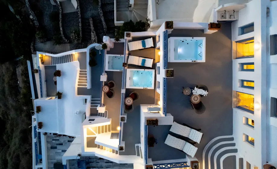 Ảnh Golden Grey Goose