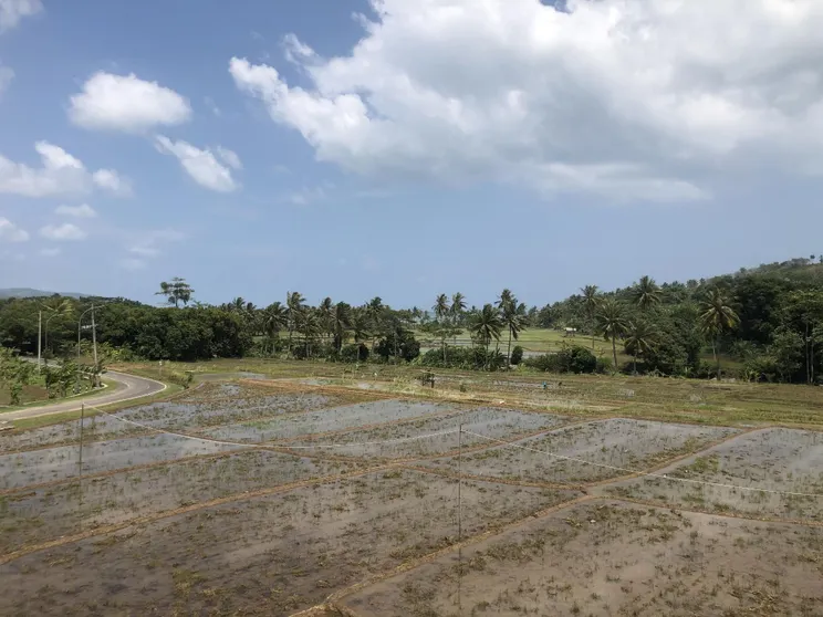 Ảnh Villa Padi Ciletuh