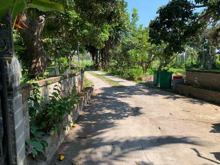 Ảnh Studio Lumbung 