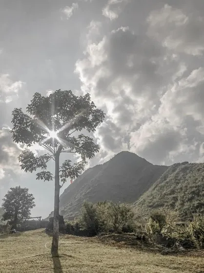 Ảnh Hoan Hao Hotel