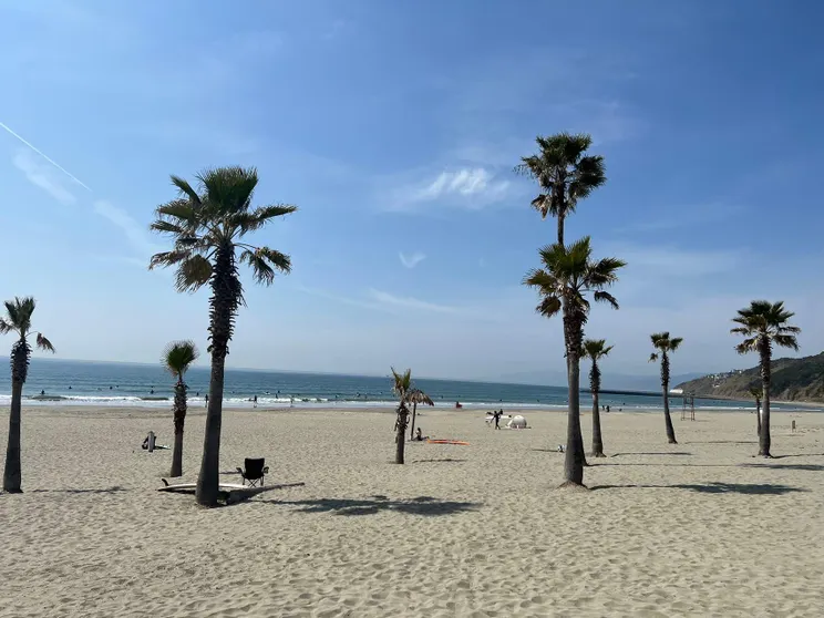 Ảnh 関西国際ホテル