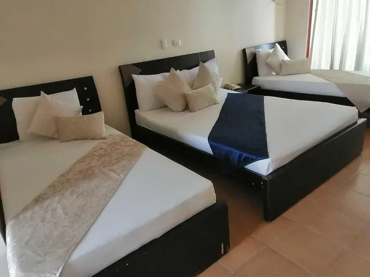 Ảnh Hotel Palmarena Plaza