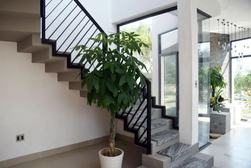 Ảnh Blue Ocean Homestay