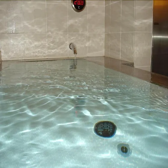 Ảnh Spa and Sauna Hotel Hitachi Plaza