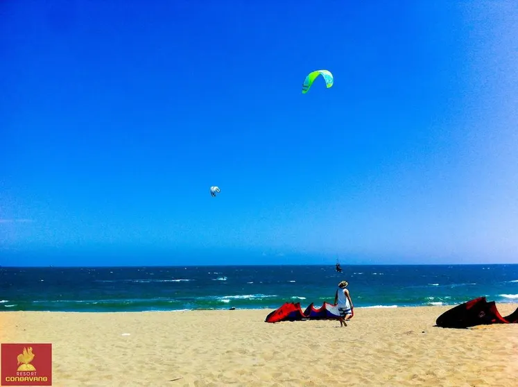 Ảnh Con Ga Vang Resort