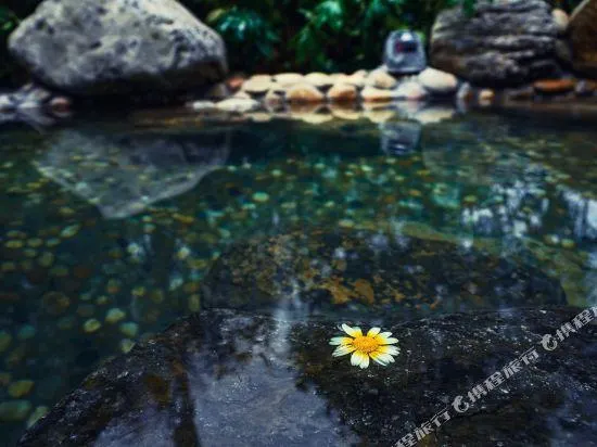 Ảnh Amazing Orchid Pavilion Hotspring Hotel.