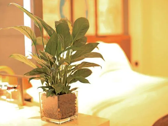 Ảnh James Joyce Coffetel