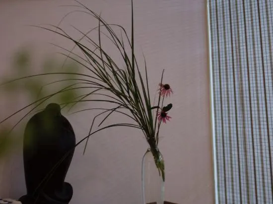 Ảnh Yangzhou Slender West Lake National Medical College Heyi Hotel