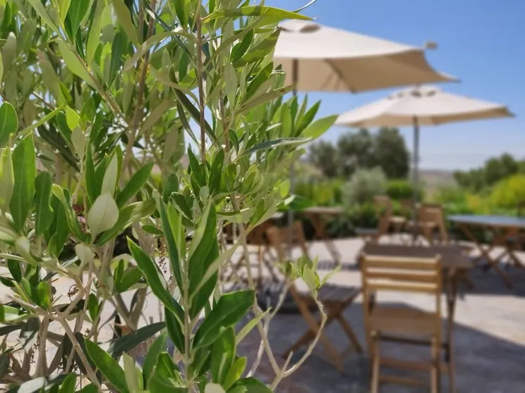 Ảnh Pure Flor de Esteva B&B