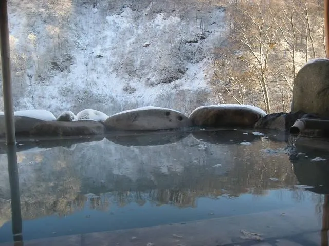 Ảnh Hanabun Onsen Hotel