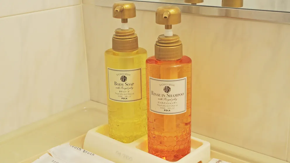 Ảnh Hotel Sapporo Sun Plaza