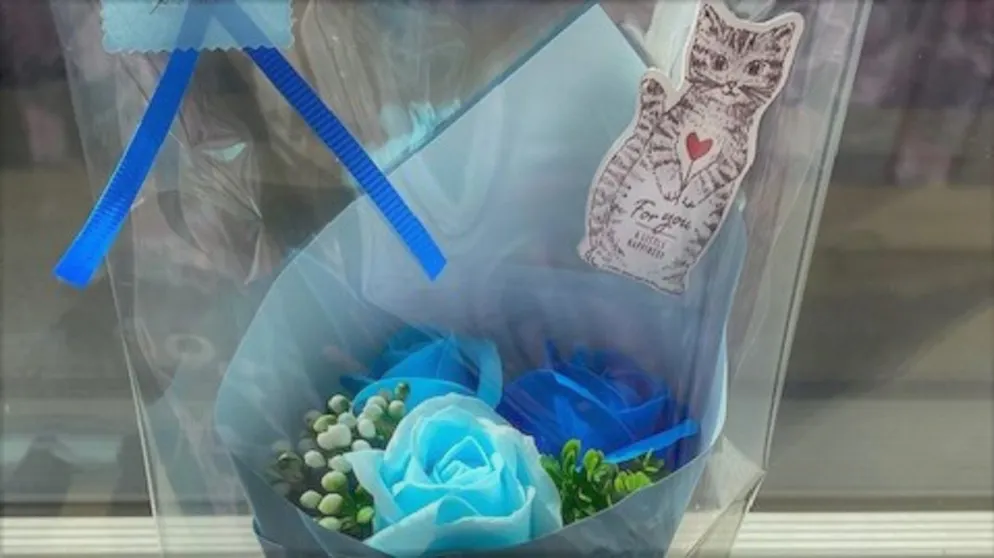 Ảnh Tokyo Garden Palace