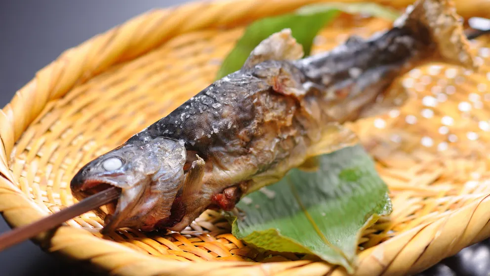 Ảnh Onogawa Onsen Meiyu no Yado Azumaso