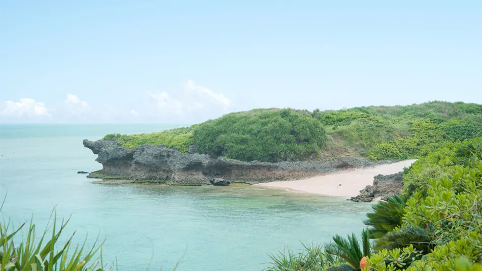 Ảnh Beach Resort Morimar